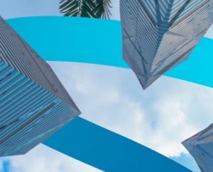 a group of tall buildings next to a palm tree