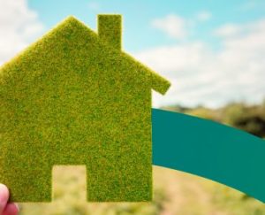 a person holding up a green house cut out of grass